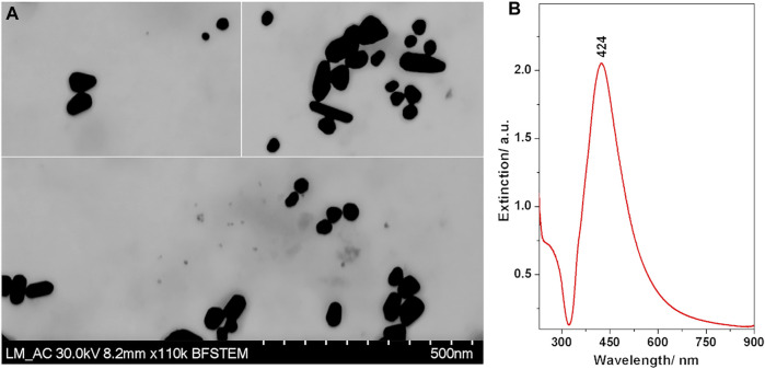 FIGURE 2