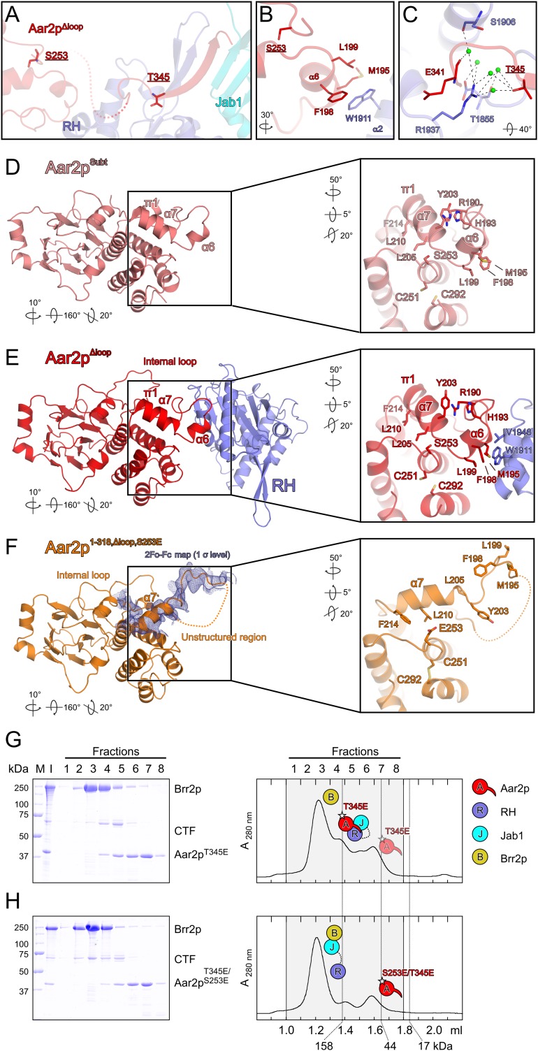 Figure 6.