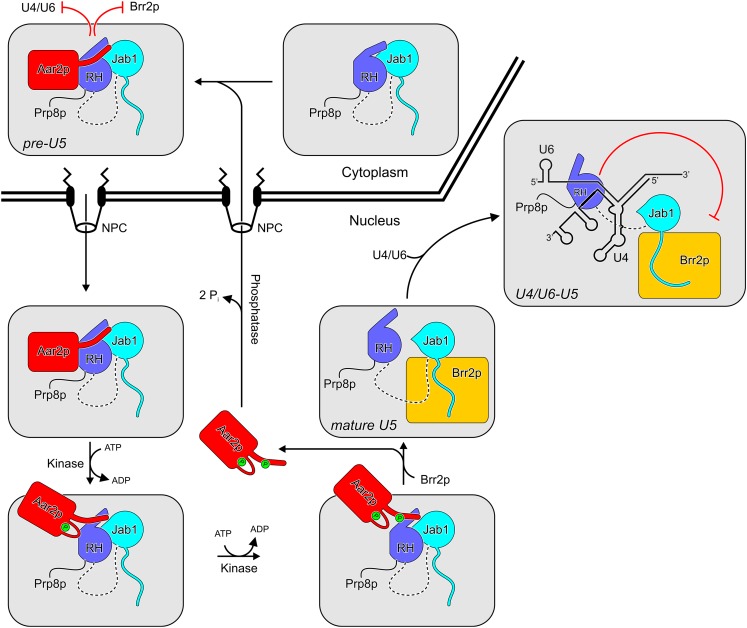 Figure 7.