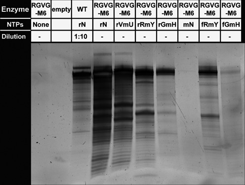 Figure 5.