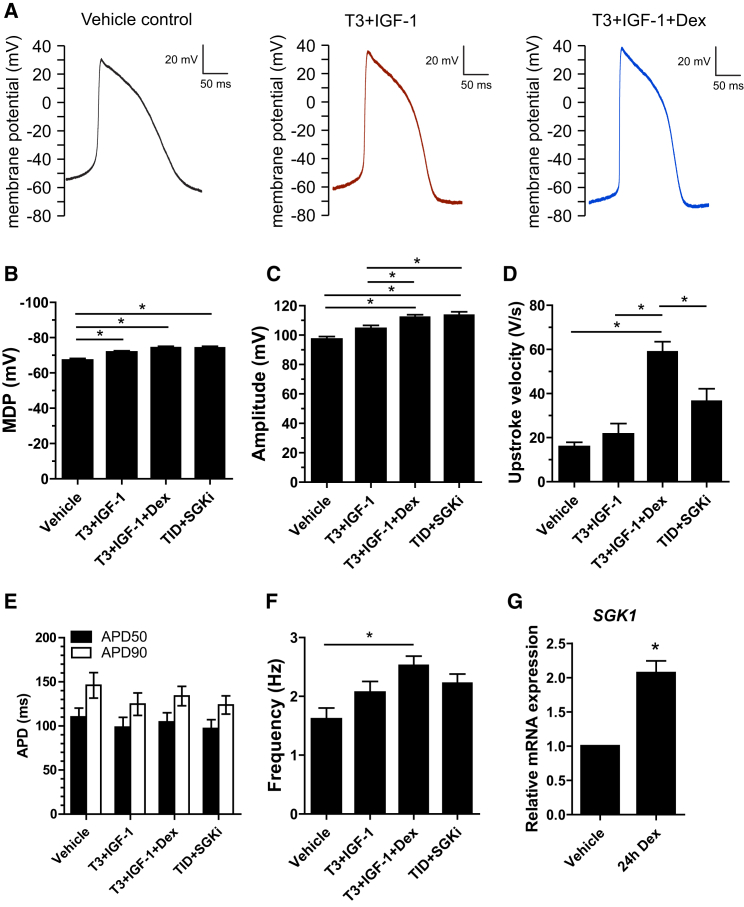 Figure 3