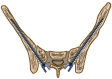 Fig. 9