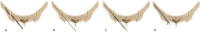 Fig. 8
