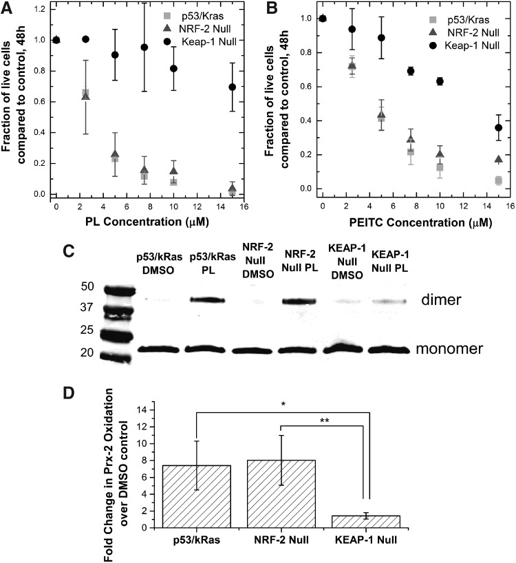 FIG. 7.