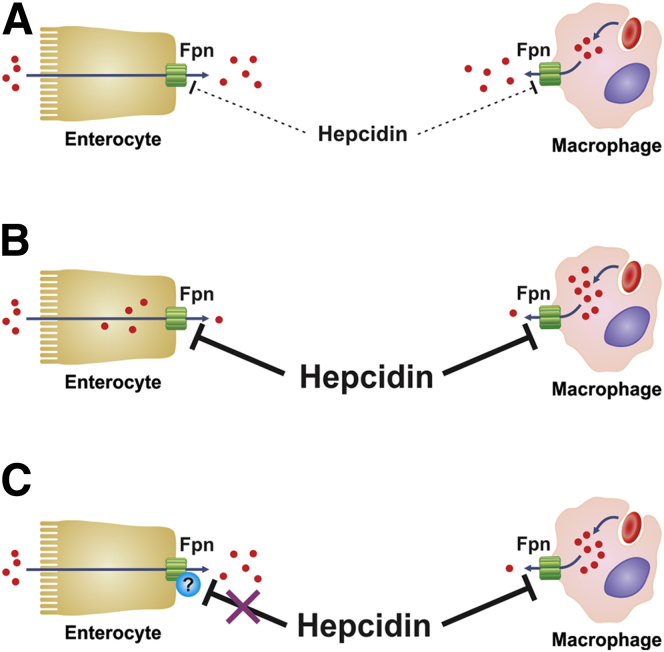 Figure 6