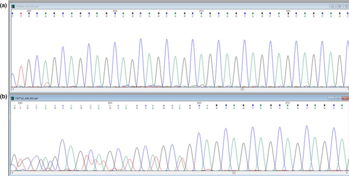 FIGURE 1