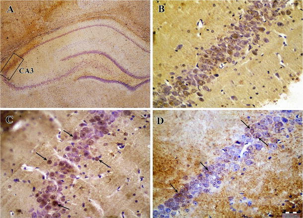 Fig. 3