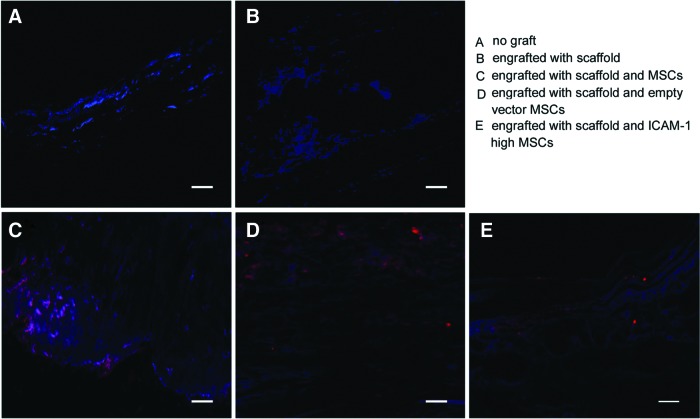 FIG. 7.