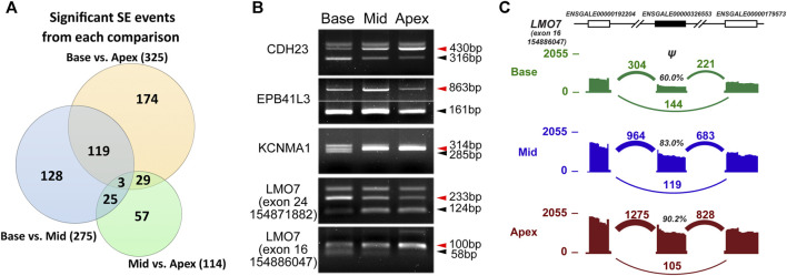 FIGURE 3