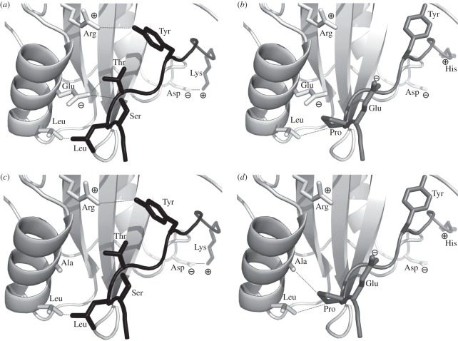 Figure 4.