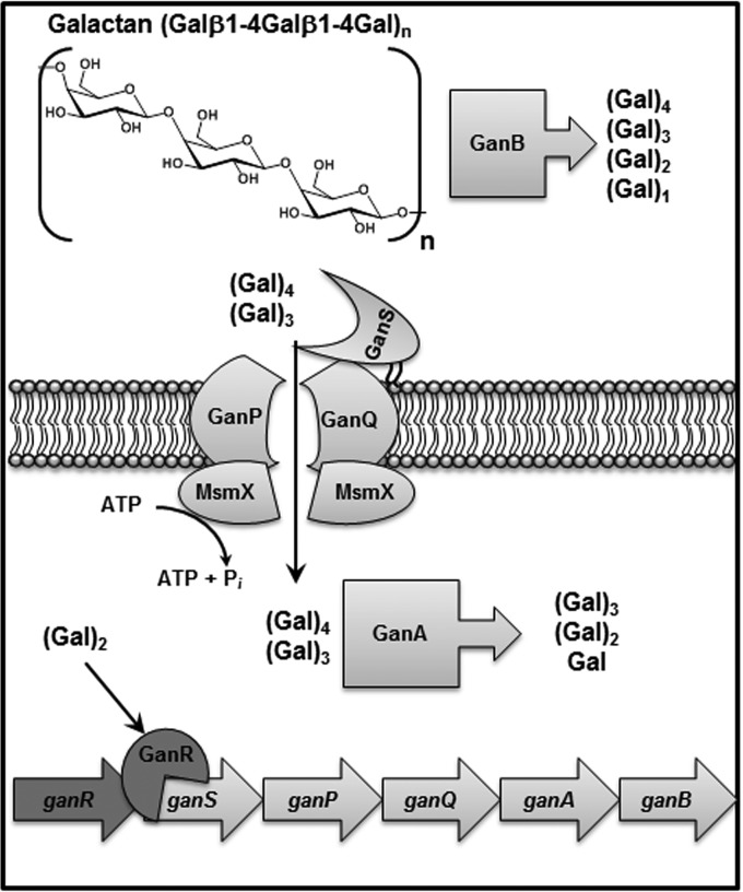 FIG 9