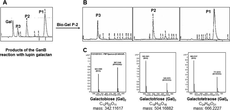 FIG 3