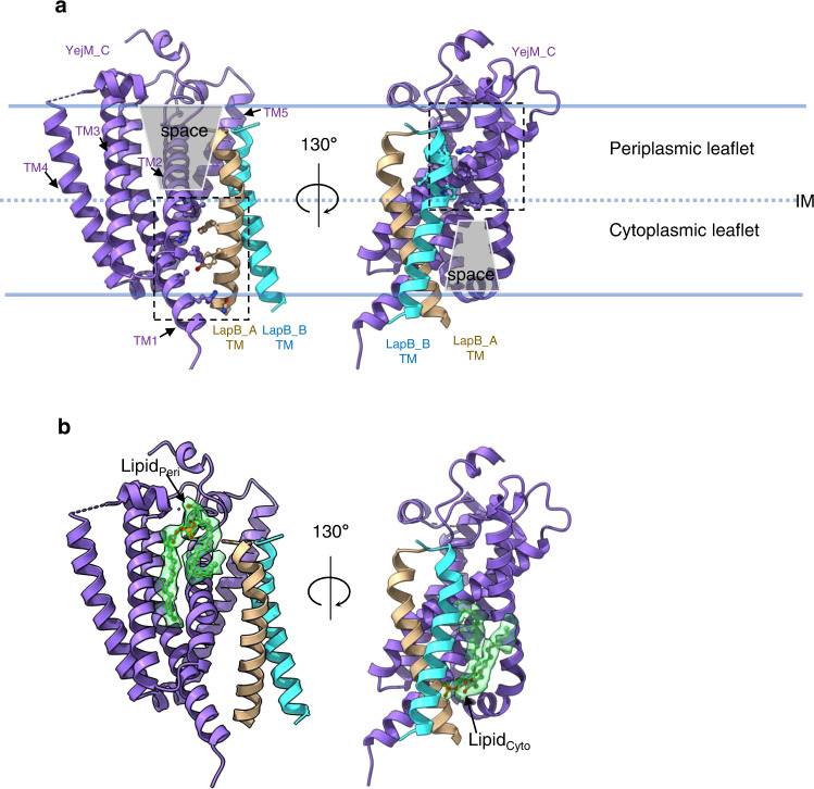 Fig. 3