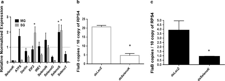 Fig. 3