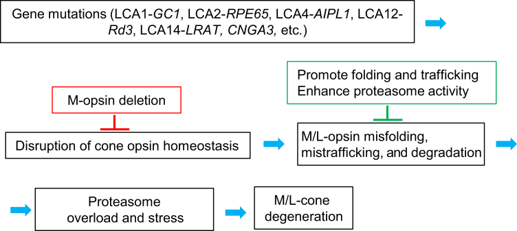 Figure 6