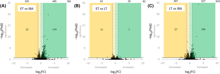 Fig. 5