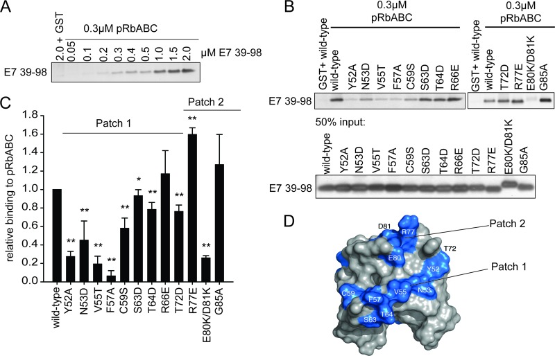 Fig 7