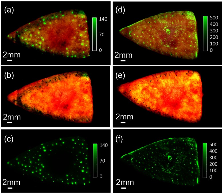 Fig. 11