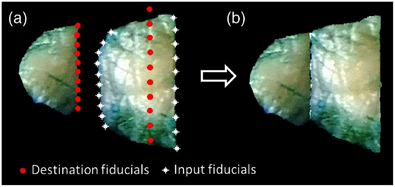 Fig. 4