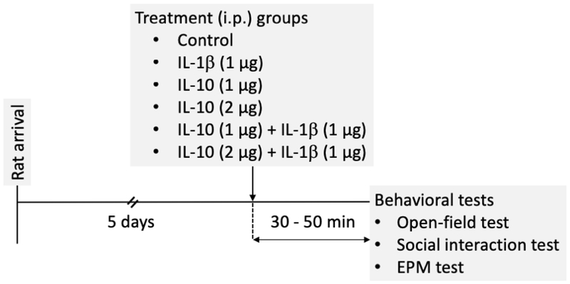 Figure 1: