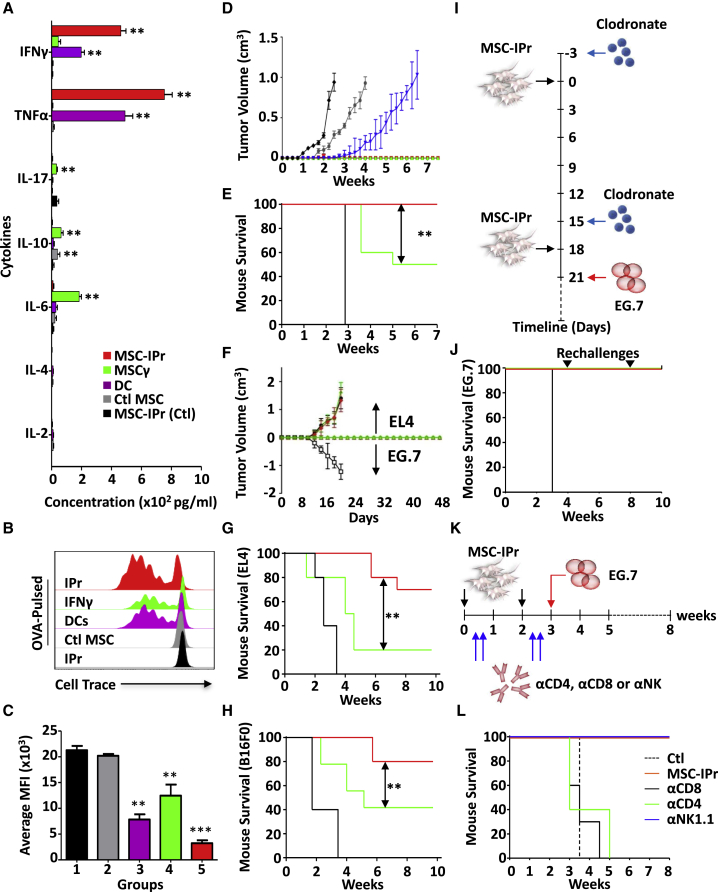 Figure 6