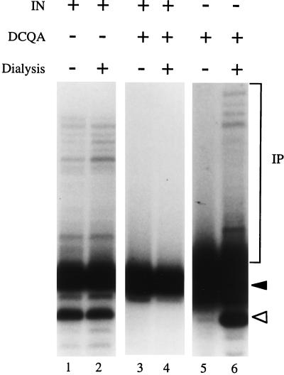 FIG. 5