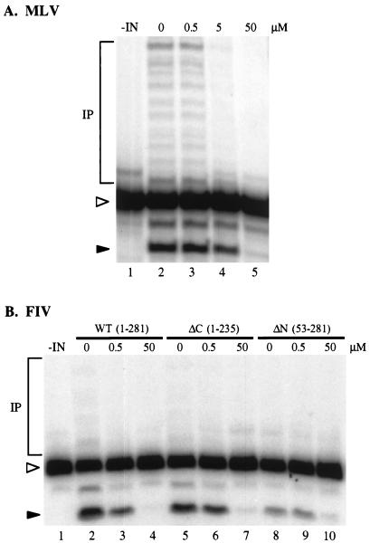 FIG. 3