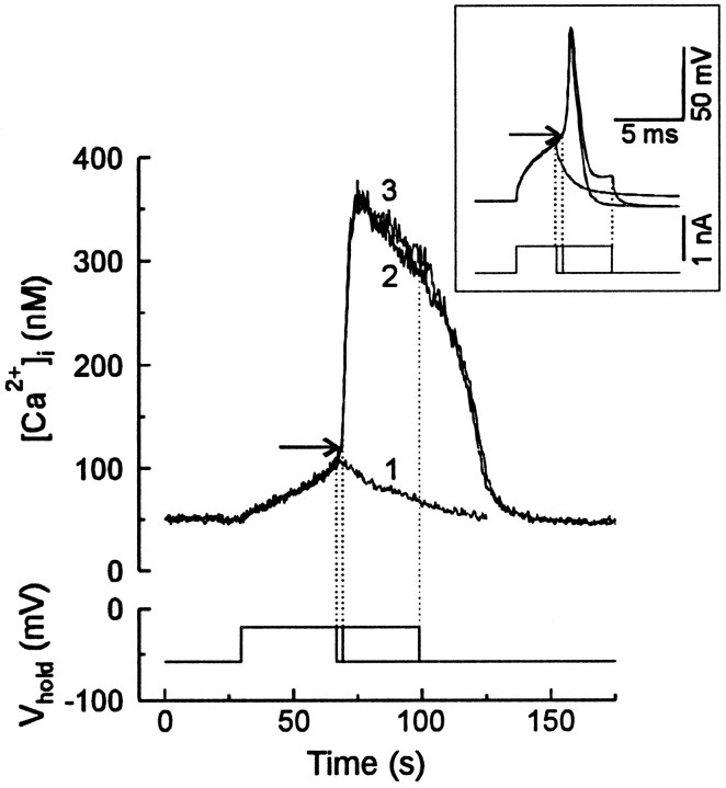 Fig. 1.