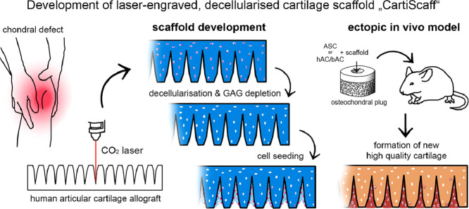 Image, graphical abstract