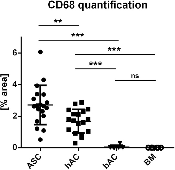 Fig 10