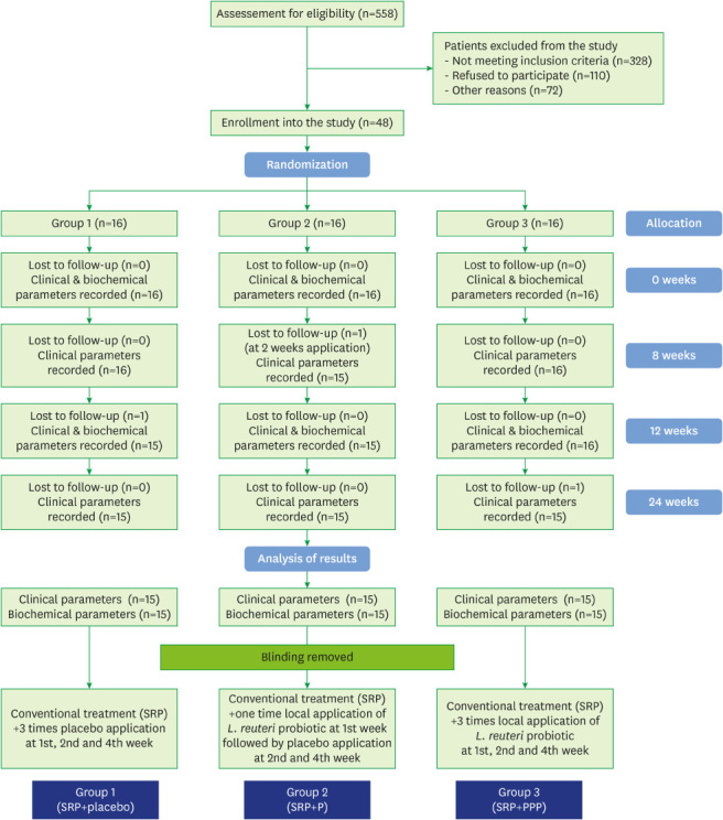 graphic file with name jpis-51-199-abf001.jpg