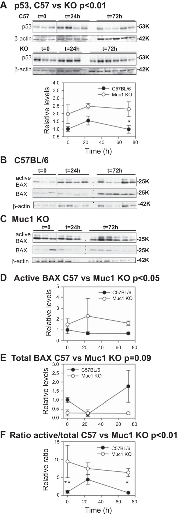 Fig. 9.