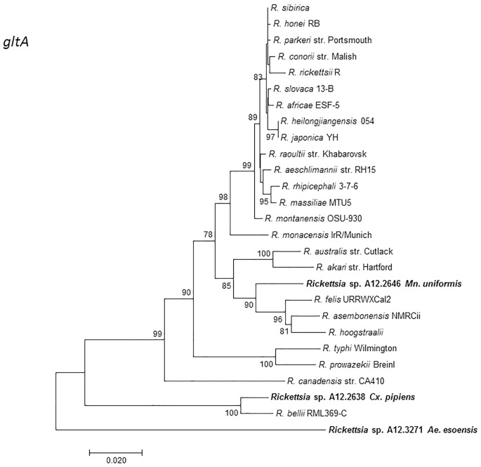 Fig 3