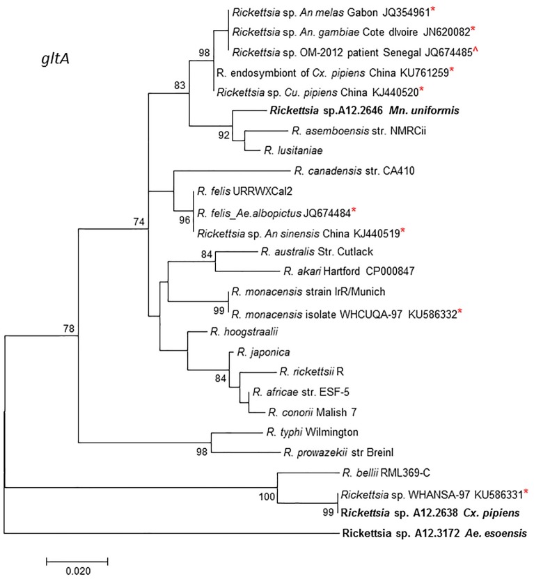 Fig 4