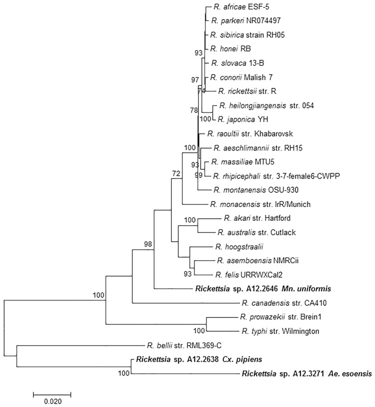 Fig 2