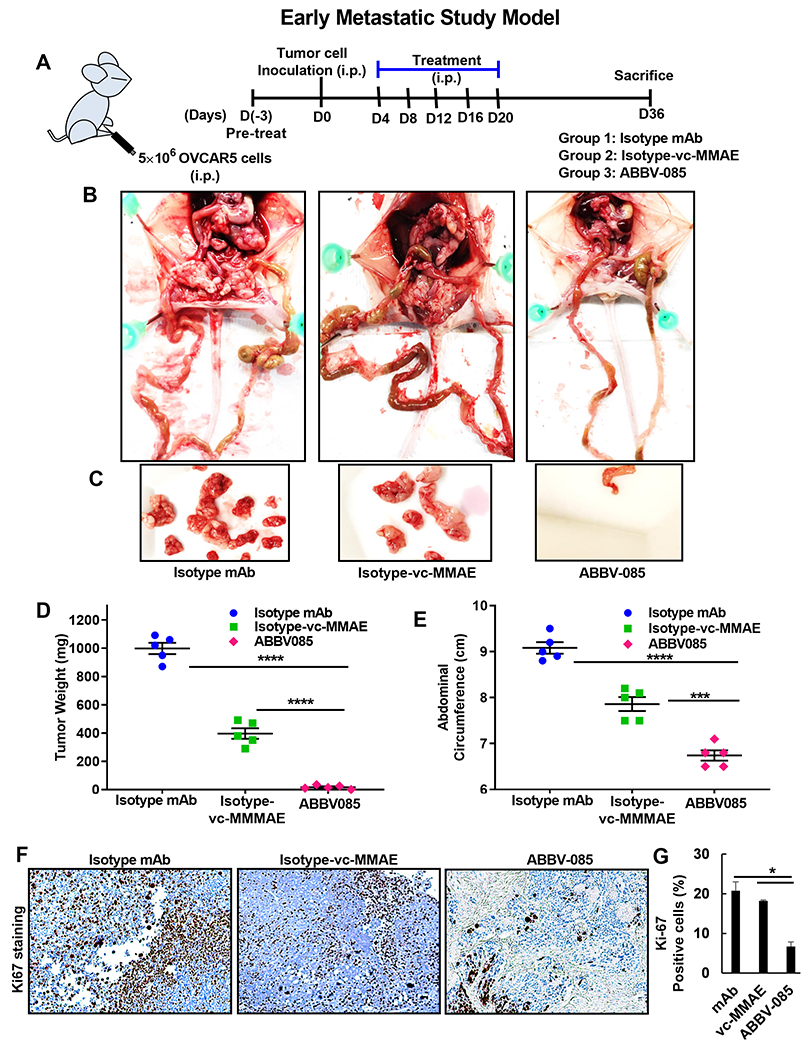 Figure 6: