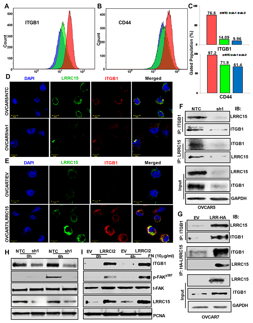 Figure 5: