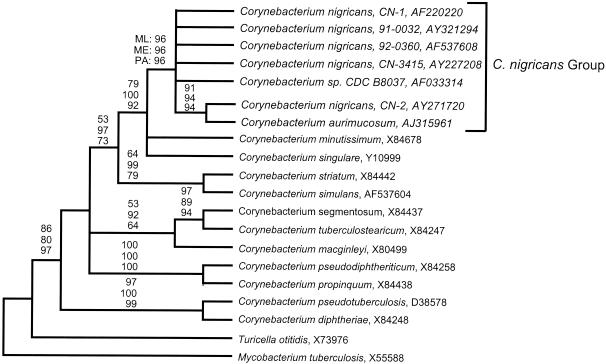 FIG. 3.