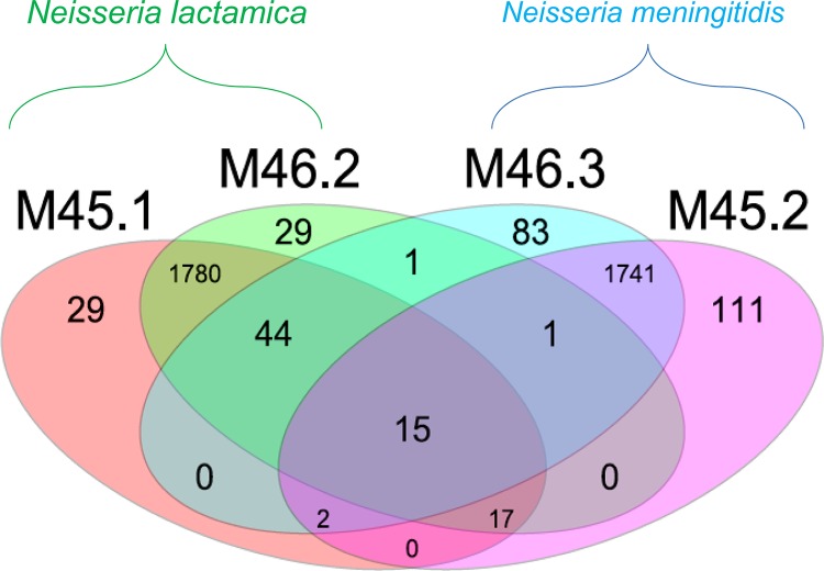 FIG 5