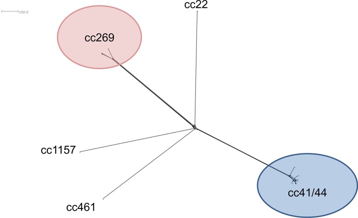 FIG 3