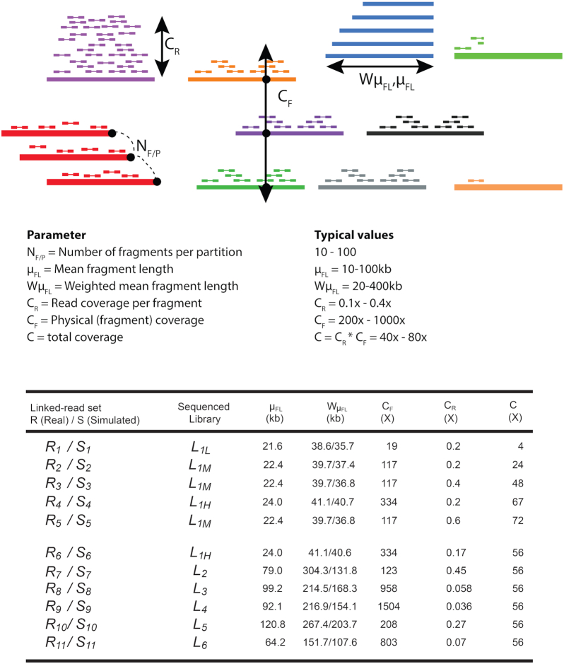 Figure 1: