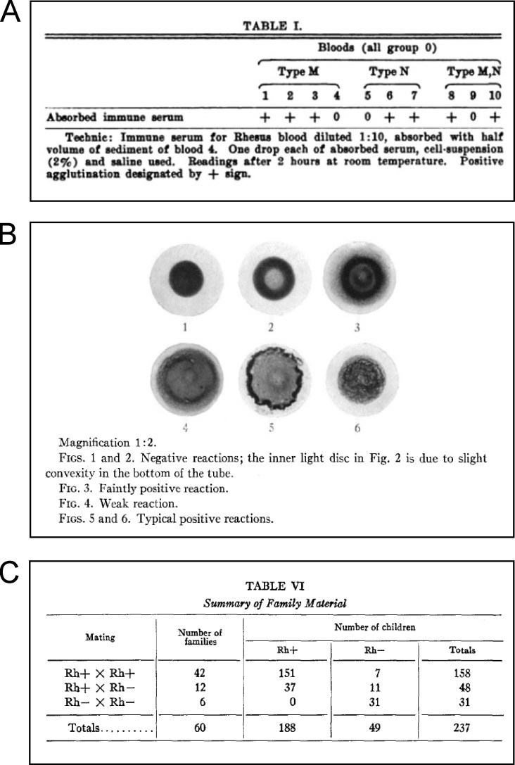 graphic file with name JEM_20202038_Fig2.jpg