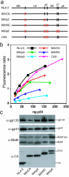 FIG. 2.