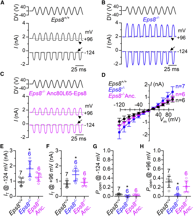 Figure 5