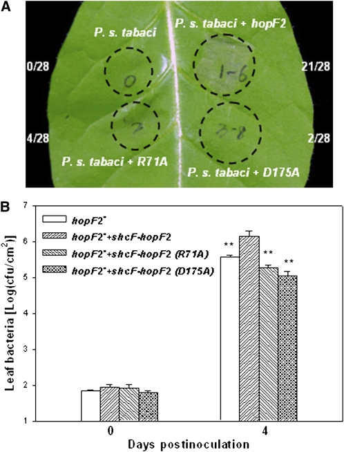 Figure 7.