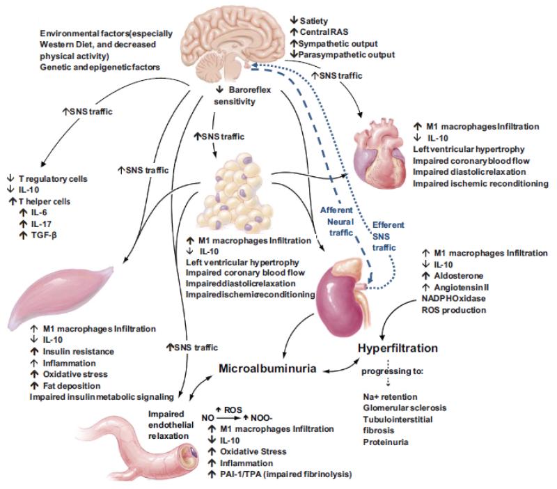 Fig 1