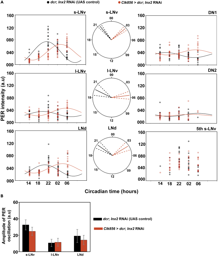 Figure 6