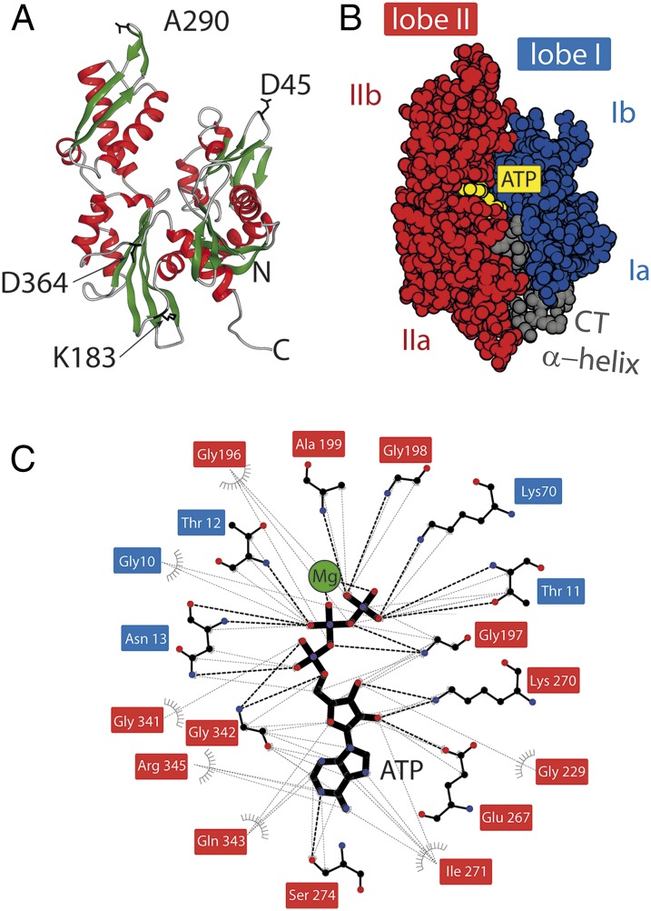 Fig. 1.