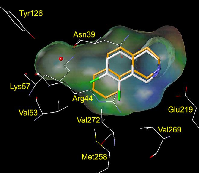 Figure 4