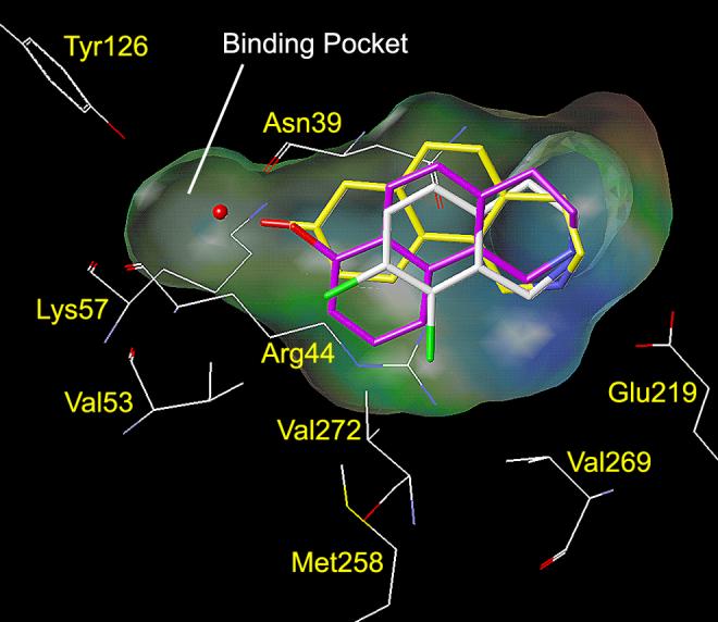 Figure 4